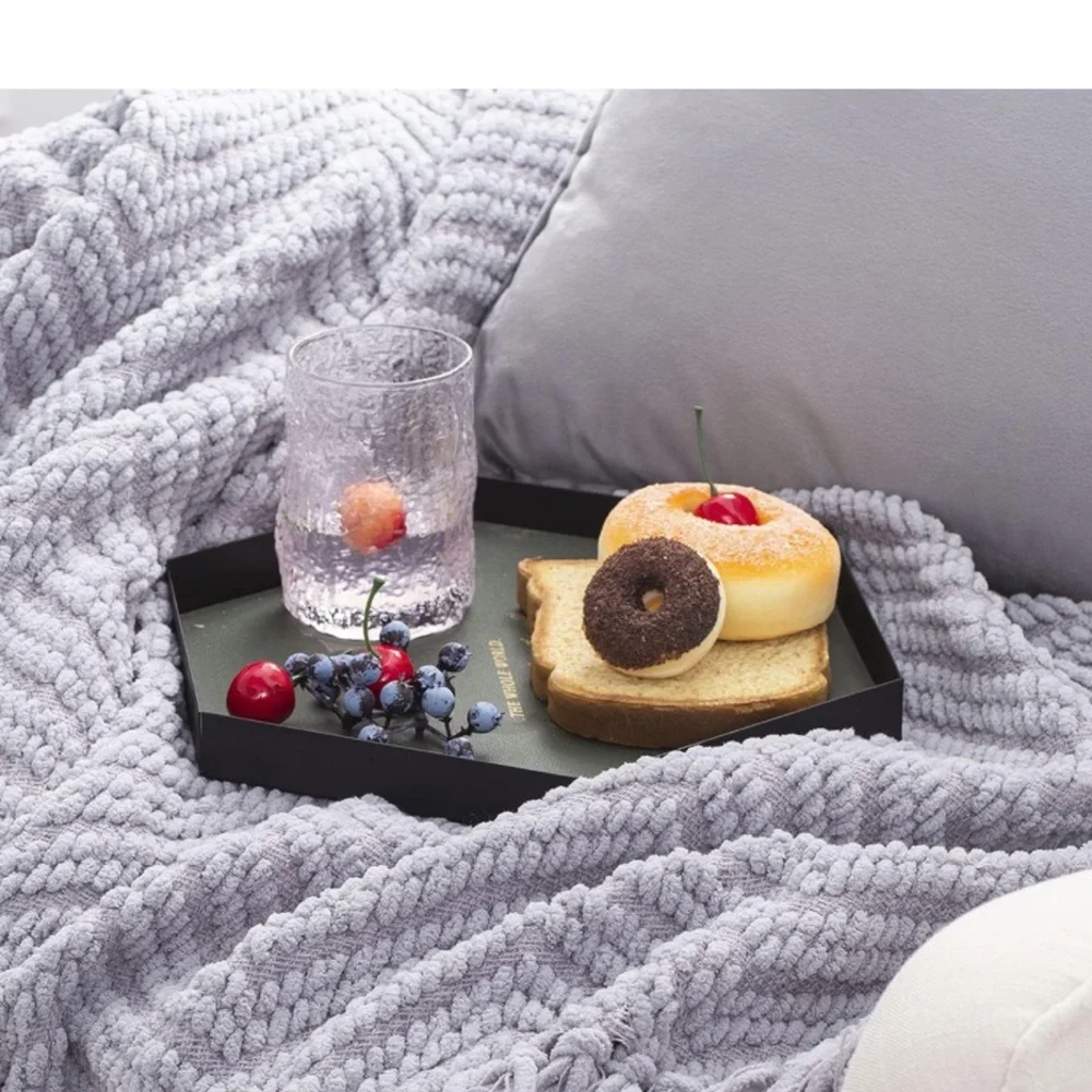 West Elm Light Grey Tassel Chevron Luxury Soft Cozy Blanket for Bedroom/Dorm
